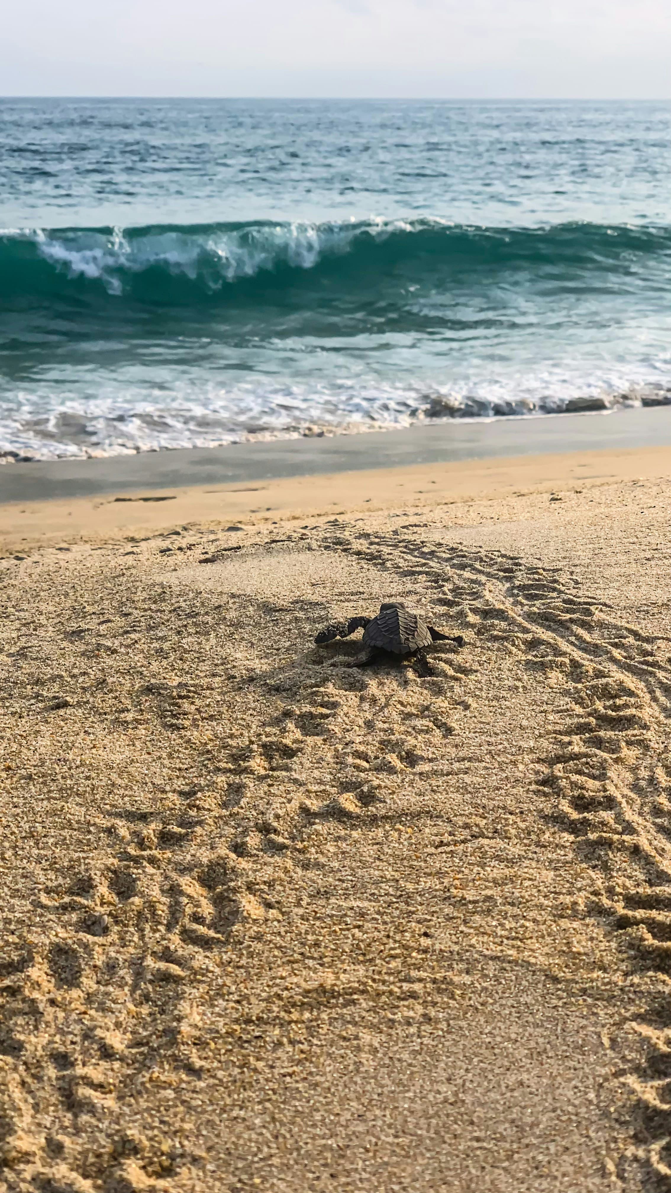Oaxaca, Puerto Escondido